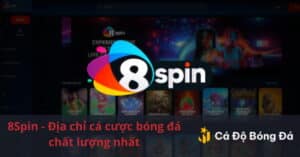 Cá độ bóng đá online chất lượng và uy tín cùng 8Spin